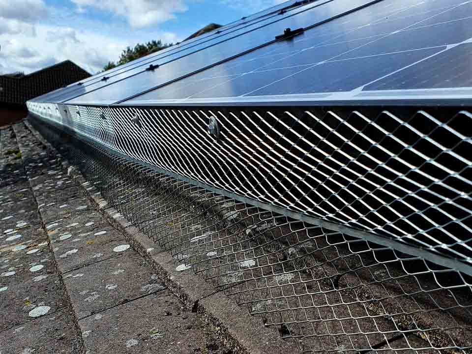 Solar Panel Bird Netting